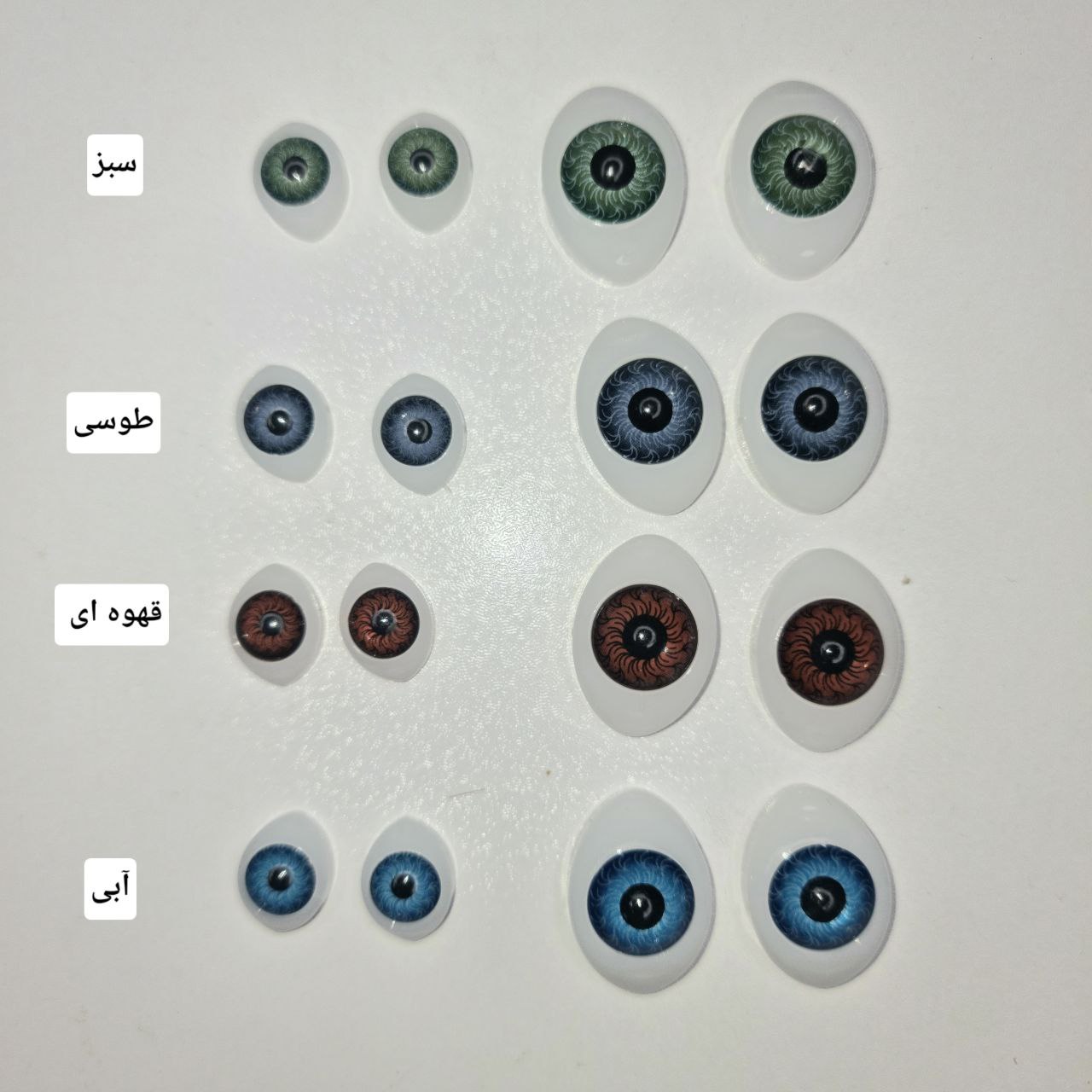 چشم لنزی قابدار