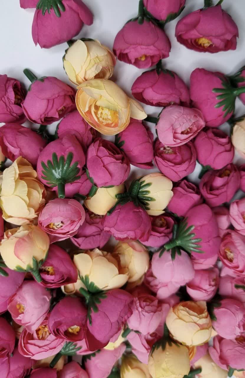 گل نسترن وارداتی