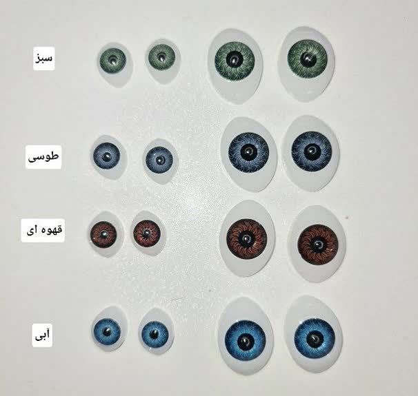 چشم لنزی قابدار