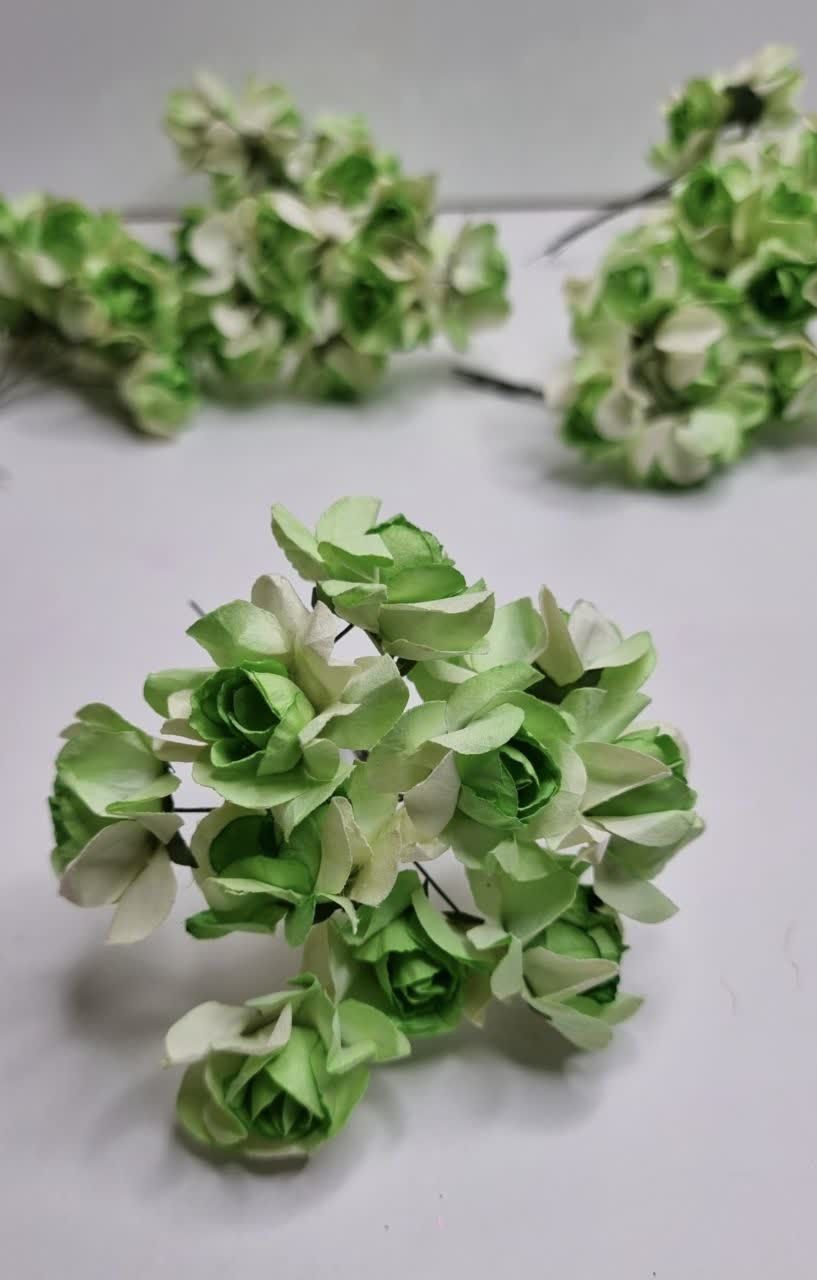 گل کاغذی بزرگ سبز
