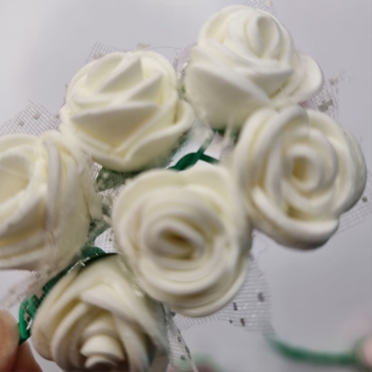 گل رز فومی