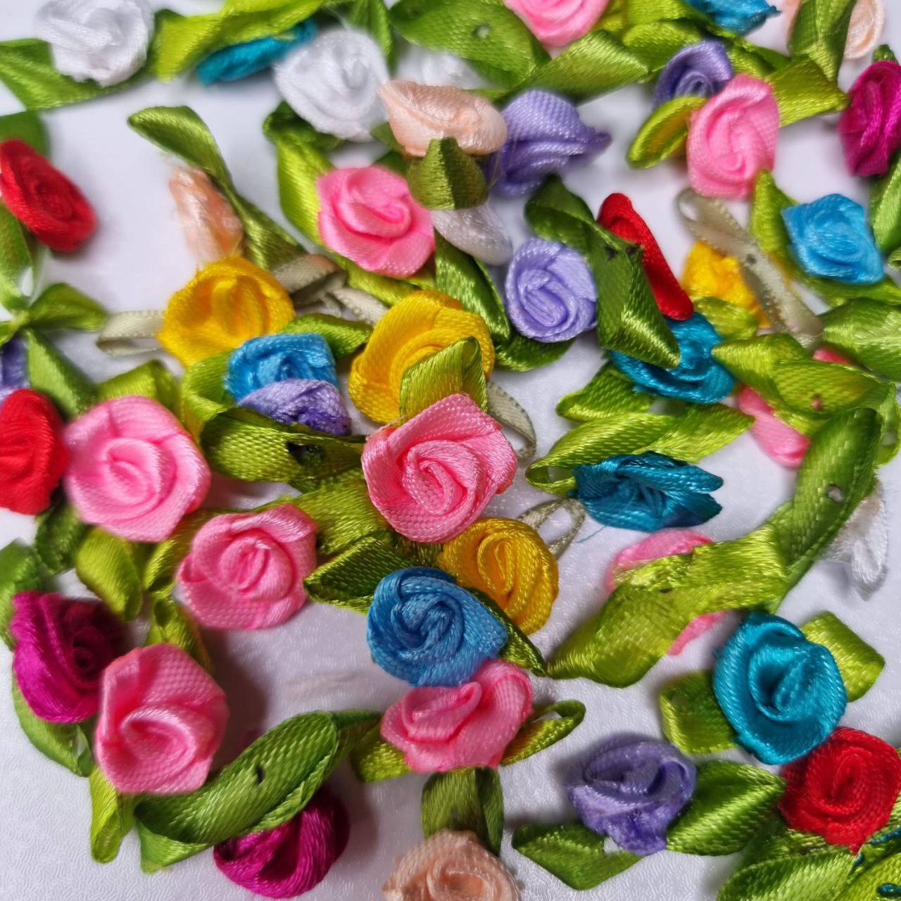 گل رز برگ دار رنگی